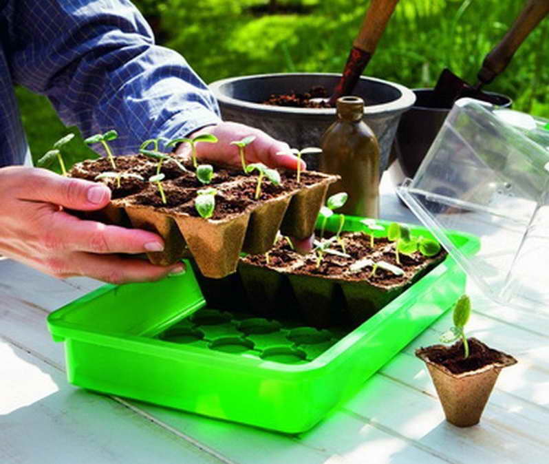 Romberg Zimmergewächshaus-Komplettset Maud