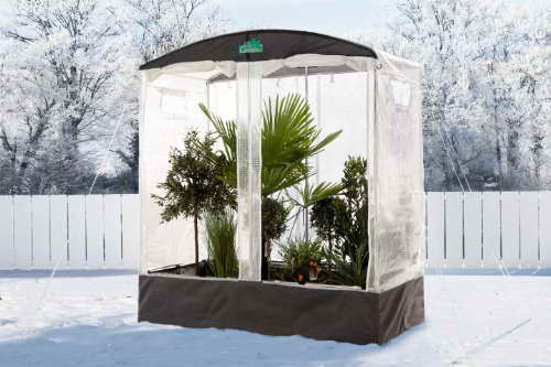 BioGreen Tomatenhaus & Überwinterungshaus 220x200x100 cm - 4