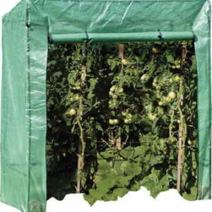 Brema 40.122 Tomatengewächshaus 170  x  190  x  80 cm - 1