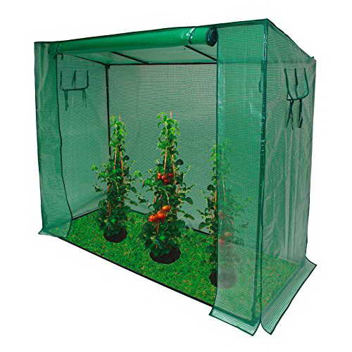 DEMA Tomaten Gewächshaus 200/80/170cm - 1