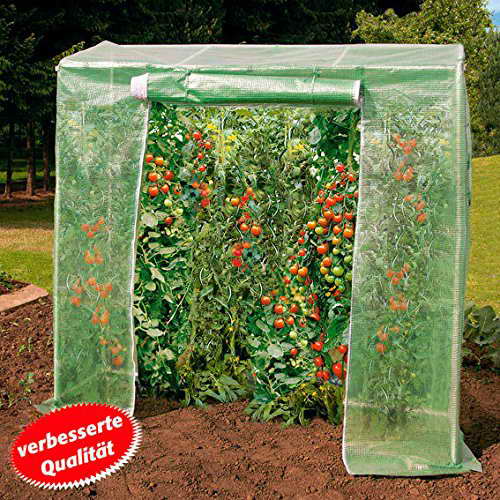 Gärtner Pötschke Tomatenhaus - 1
