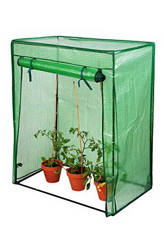 LacewingTM, Tomaten-Gewächshaus, 112cm x 94cm x 35,5cm - 1