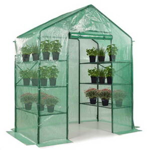 Rotfuchs Foliengewächshaus Treibhaus Pflanzen Tomatenhaus Frübeet Spitzdach 180 x 100 x 213 cm - 1
