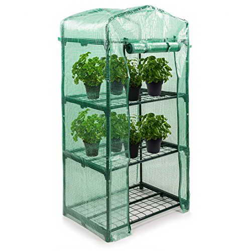 Rotfuchs Foliengewächshaus Treibhaus Pflanzen Tomatenhaus Frübeet Spitzdach 69 x 49 x 131 cm - 1