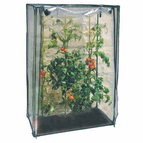 Tomaten-Gewächshaus Garten Anzucht - 1