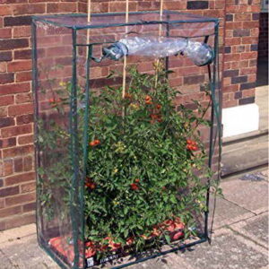 Tomaten-Gewächshaus Treibhaus - 1