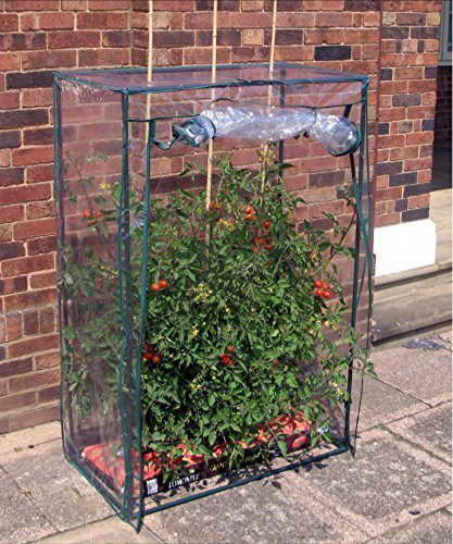 Tomaten-Gewächshaus Treibhaus - 1