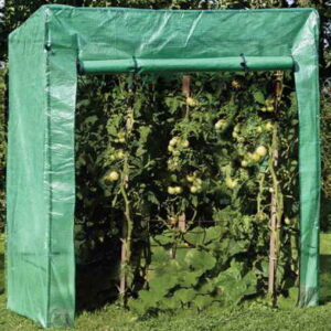 Tomatengewächshaus - 1 Stück - 1