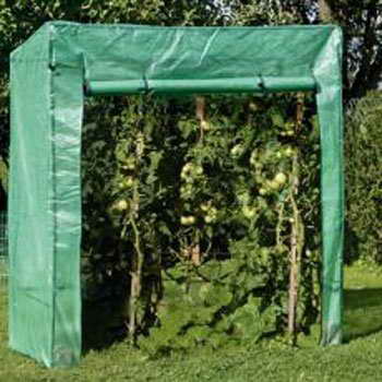 Tomatengewächshaus, Anzucht von Tomaten und Gemüsepflanzen, T x B x H: ca. 80 x 170 x 190/170 cm - 1