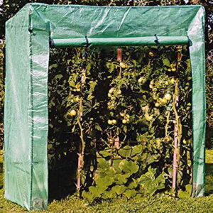 Tomatengewächshaus Foliengewächshaus Mini-Gewächshaus Treibhaus 170 x 80 x 190cm - 1