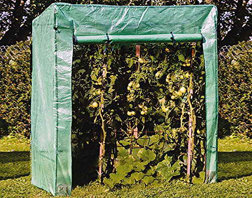 Tomatengewächshaus Foliengewächshaus Mini-Gewächshaus Treibhaus 170 x 80 x 190cm - 1