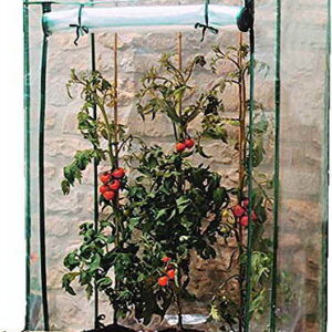 Tomatengewächshaus Foliengewächshaus Mini-Gewächshaus Treibhaus 100 x 50 x 150cm - 1
