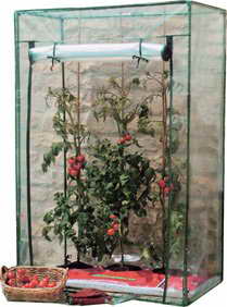 Tomatengewächshaus, Gewächshaus, Treibhaus, ca. 100 x 50 x 150 cm - 1