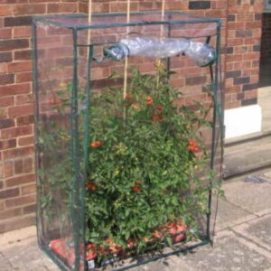 Tomatengewächshaus, Gewächshaus für Tomatenanzucht - 1