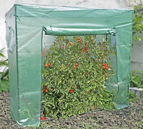 Tomatengewächshaus mit zwei Reißverschlüssen - 1