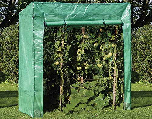 Tomatengewächshaus TOMATENGEWAECHSH AUS 140122 - 1
