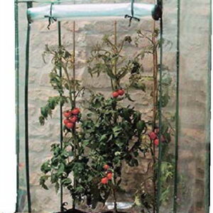 Tomatengewächshaus TOMATENGEWAECHSH AUS 08720 - 1