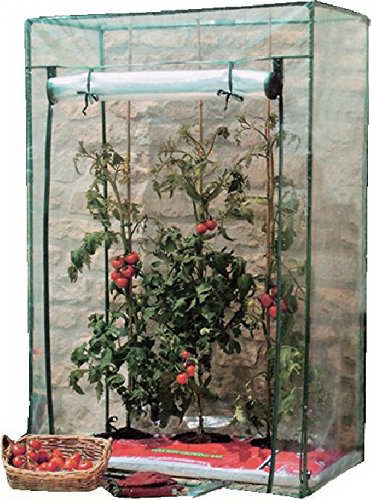 Tomatengewächshaus TOMATENGEWAECHSH AUS 08720 - 1