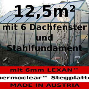 12,5m² PROFI ALU Gewächshaus Glashaus Treibhaus inkl. Stahlfundament u. 6 Fenster, mit 6mm Hohlkammerstegplatten - (Platten MADE IN AUSTRIA) von AS-S - 1