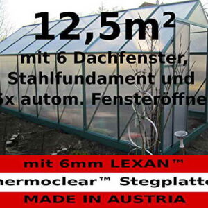 12,5m² PROFI Gewächshaus Glashaus Treibhaus inkl. Stahlfundament u. 6 Fenster, mit 6mm Hohlkammerstegplatten - (Platten MADE IN AUSTRIA/EU) inkl. 5 autom. Fensteröffner von AS-S - 1