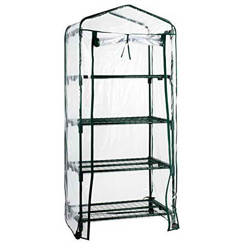 casa pura® Gewächshaus Casabella | mobiles Platzwunder mit 2, 3 oder 4 Regalböden (4 Böden, 68x49x160cm) - 3