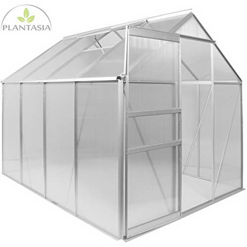 PLANTASIA® 4,75 m² Alu Gewächshaus, 4 mm Hohlkammerplatten, Firsthöhe 195 cm, 250cm x 190cm (LxB), mit Fenster, Aufbauvideo - 1