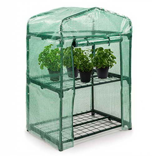 Rotfuchs Foliengewächshaus Treibhaus Pflanzen Tomatenhaus Frübeet Spitzdach 69 x 49 x 94 cm - 1