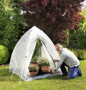 Bio Green Winterschutz Tropical Island Zelt - M- 200 x 150 - 