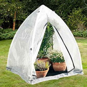 Vitavia Pflanzenzelt Tropical Island M -