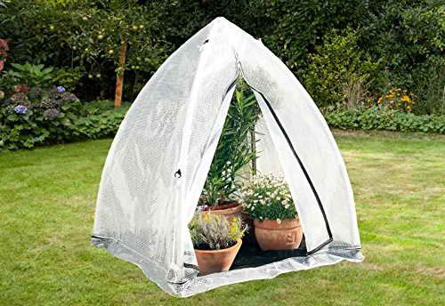 Vitavia Pflanzenzelt Tropical Island M -