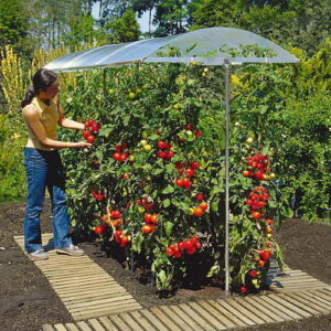 Beckmann KG PSN1 Schutzdach für Pflanzen Größe 1 100 x 112 cm -