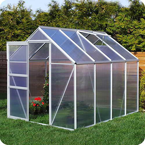 Aluminium Gewächshaus mit Fundament verschiedene Modelle Treibhaus Garten Pflanzenhaus Alu Tomatenhaus (190x250, Silber) - 