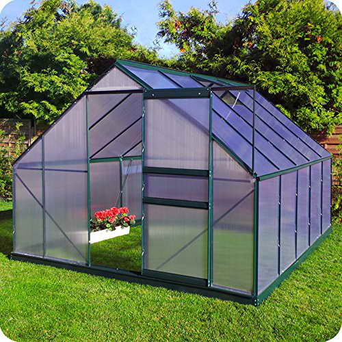 Aluminium Gewächshaus mit Fundament verschiedene Modelle Treibhaus Garten Pflanzenhaus Alu Tomatenhaus (250x310, Grün) - 