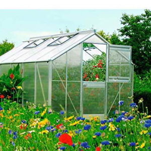 Beckmann Gewächshaus Typ Allgäu Modell A13 256x504 cm -