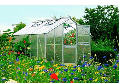 Beckmann Gewächshaus Typ Allgäu Modell A13 256x504 cm -