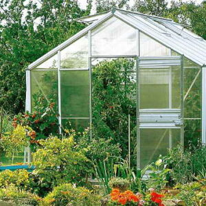 Beckmann Gewächshaus Typ Allgäu Modell B9 285x319 cm -