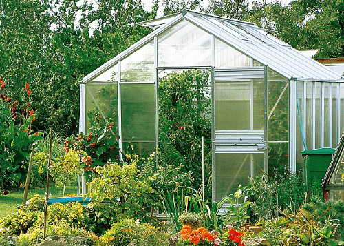 Beckmann Gewächshaus Typ Allgäu Modell B9 285x319 cm - 