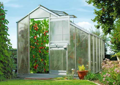 Beckmann Gewächshaus Typ Allgäu Modell S80 256x319 cm - 