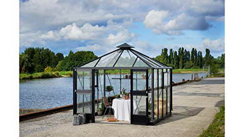 JULIANA Gewächshaus Oase 8,8, BxT: 296x296 cm, in 2 Farben anthrazit -