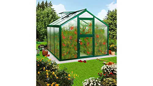 BECKMANN Gewächshaus Allplanta 1, BxT: 270x310 cm, grün dunkelgrün -