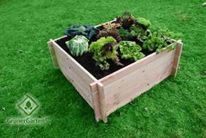 Bio Hochbeet aus Holzbohlen "GRÖN L-110" - widerstandsfähiges Douglasienholz, Zusammenbau ohne Werkzeug, schadstofffrei, GrünerGarten - ohne Chemie (110x110x75) ... - 