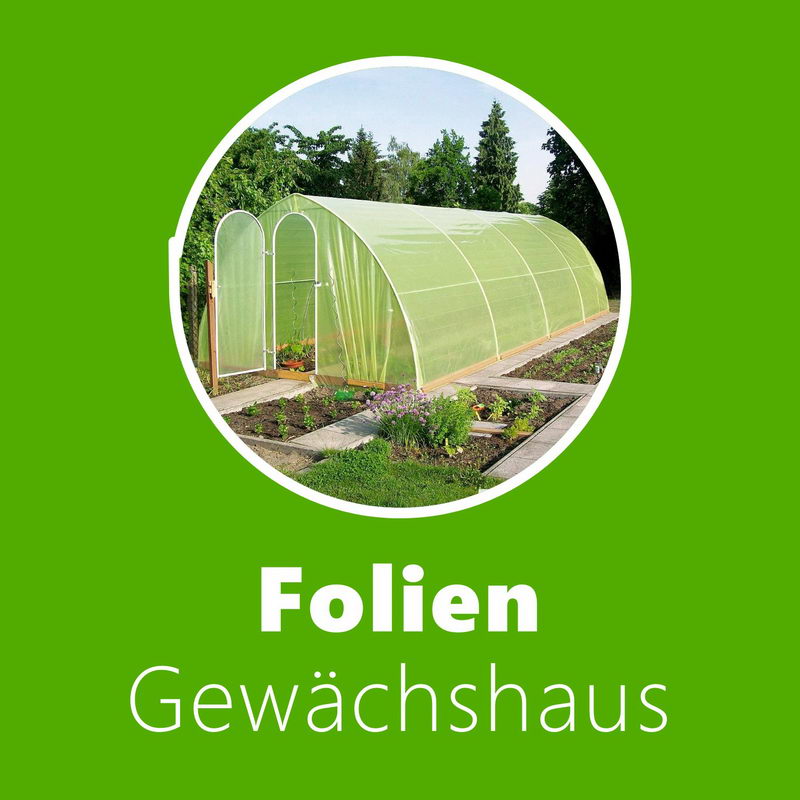 Foliengewächshaus: Ratgeber & Vergleich
