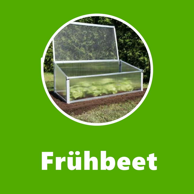 Frühbeet: Ratgeber & Vergleich