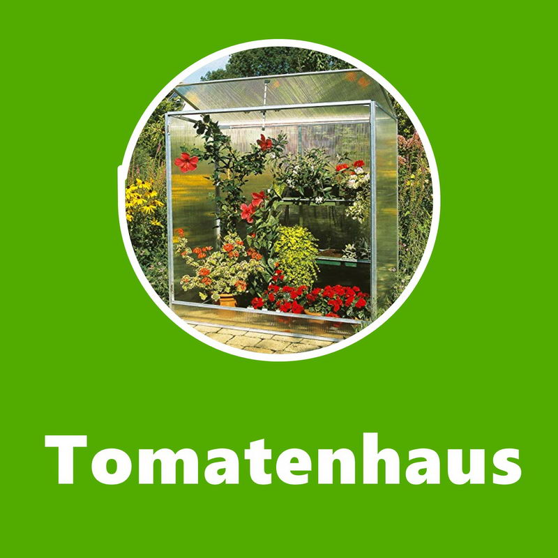 Tomatenhaus: Ratgeber & Vergleich