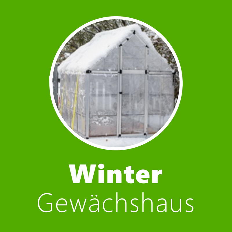 Winter-Gewächshaus: Ratgeber & Vergleich